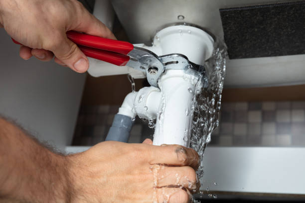 Best Local water damage restoration  in Gateway, FL
