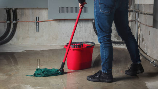 Best Water damage restoration near me  in Gateway, FL
