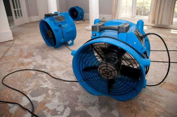 Best Basement water damage restoration  in Gateway, FL
