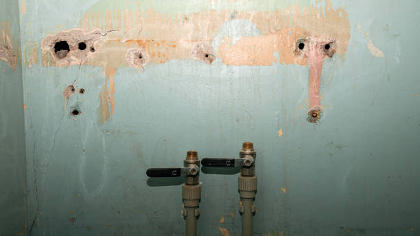 Best Commercial water damage restoration  in Gateway, FL