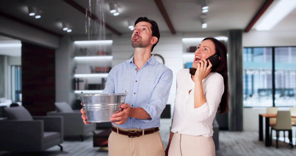 Best Emergency water extraction  in Gateway, FL
