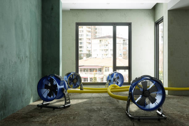 Best Sewage cleanup and water damage restoration  in Gateway, FL